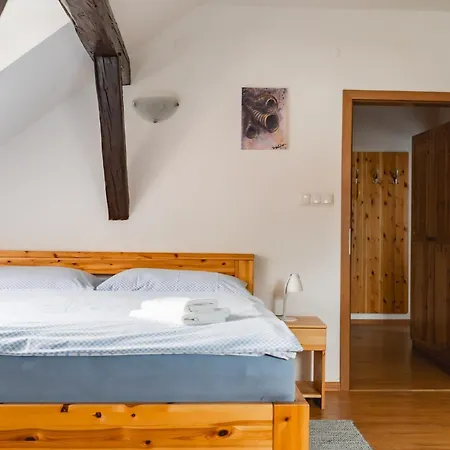 V Podkrovi Apartment Horni Plana